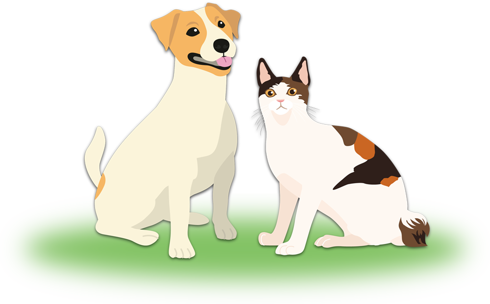 石垣島の動物病院