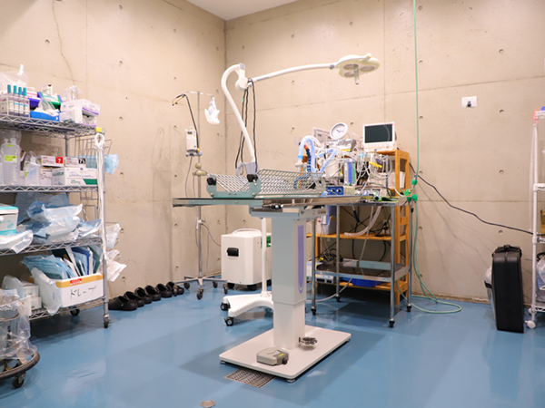 キーストーン動物医療センター石垣 石垣島の動物病院 キーストーン動物医療センター石垣 石垣島の動物病院