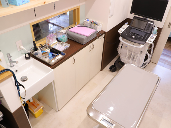 キーストーン動物医療センター石垣 石垣島の動物病院 キーストーン動物医療センター石垣 石垣島の動物病院