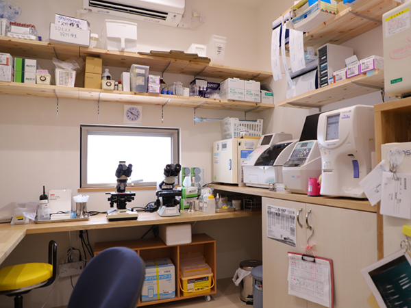 キーストーン動物医療センター石垣 石垣島の動物病院 キーストーン動物医療センター石垣 石垣島の動物病院