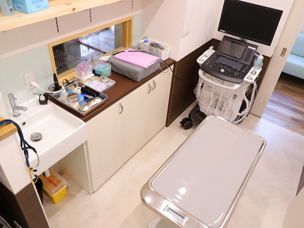 犬診察室